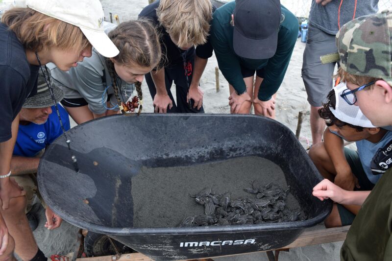 A group of young people are gathered around a black wheelbarrow filled with a dark, muddy substance. They appear to be examining the contents of the wheelbarrow with curiosity and interest. The setting seems to be outdoors, possibly a beach or a construction site, given the sandy ground and the presence of building materials.